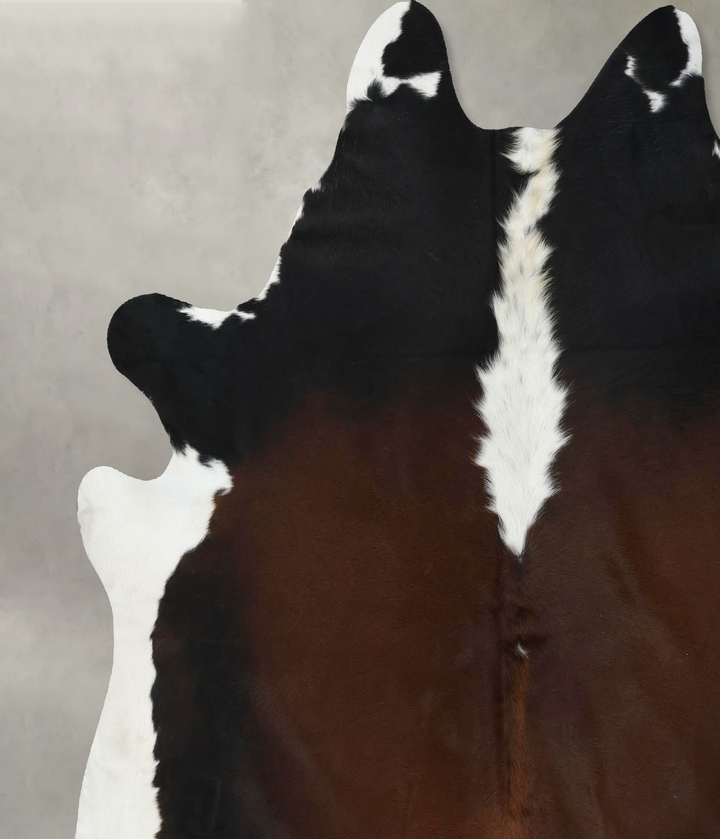 Chocolate and White XX-Large Brazilian Cowhide Rug 8'1"H x 7'6"W #B18902 by Hudson Hides