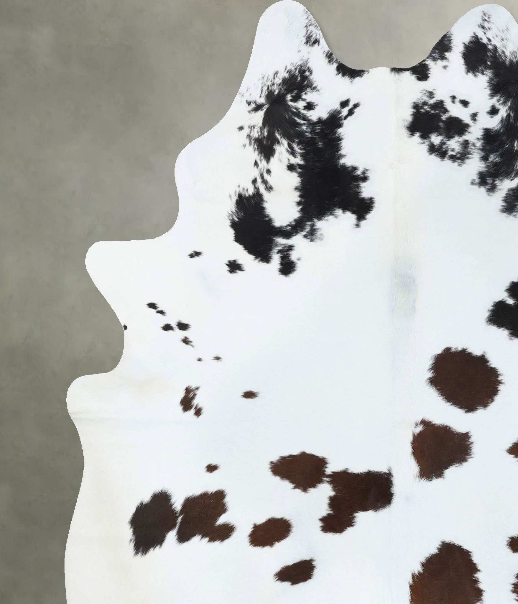 Chocolate and White Cowhide Rug #B18907