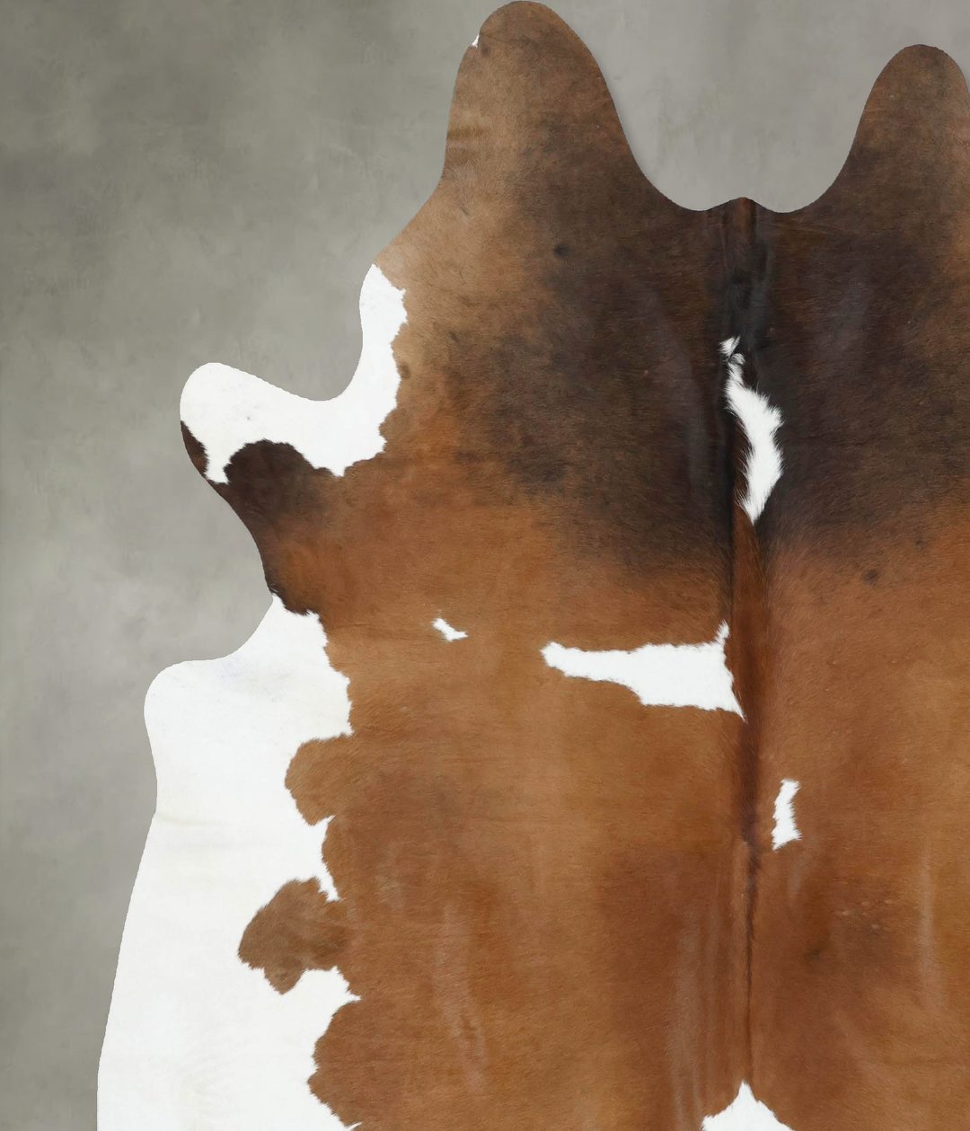 Chocolate and White XX-Large Brazilian Cowhide Rug 8'1"H x 6'10"W #B18