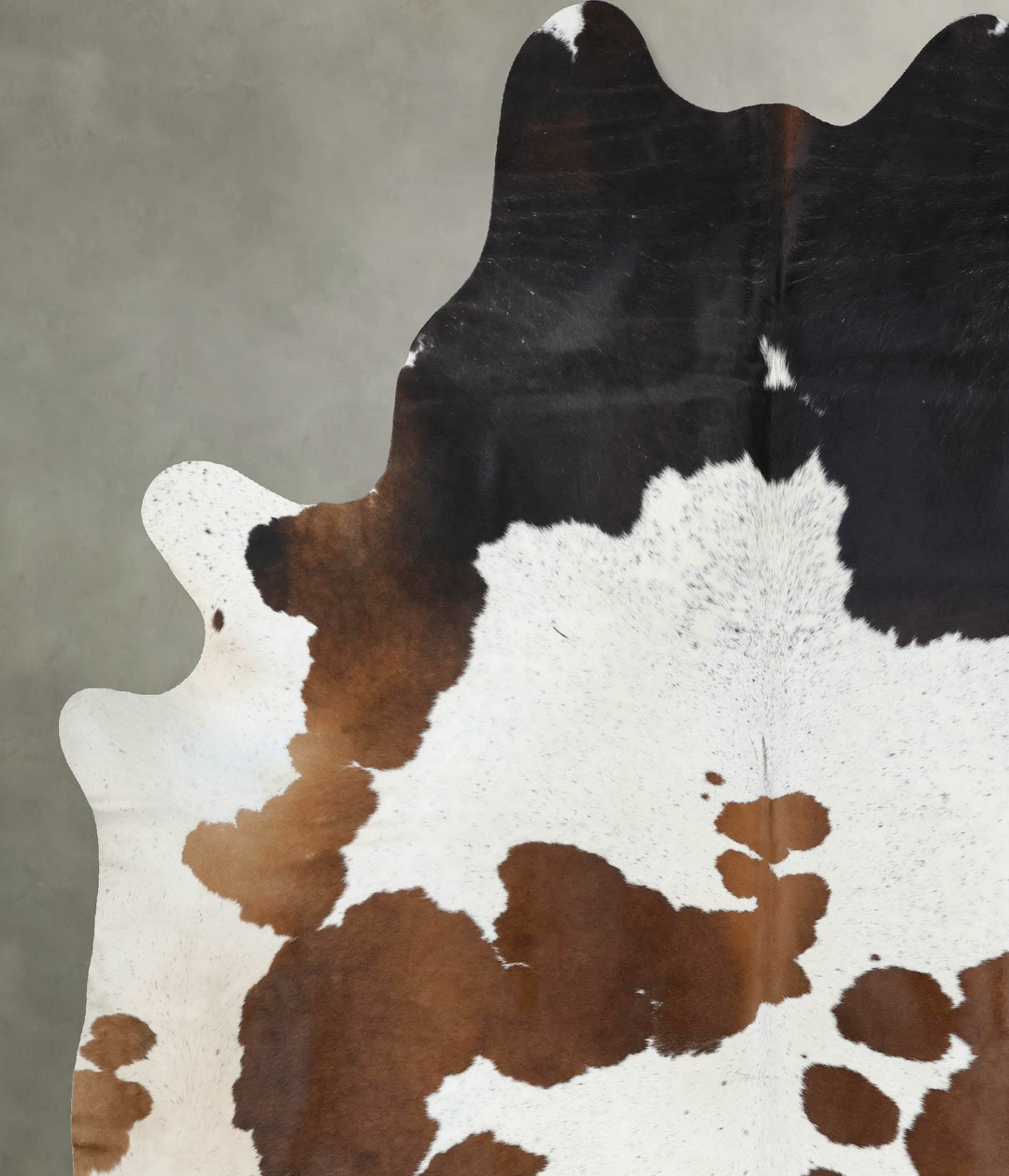 Chocolate and White XX-Large Brazilian Cowhide Rug 8'9"H x 7'6"W #B189
