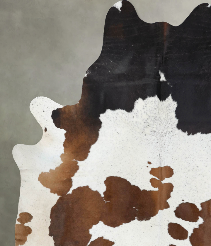 Chocolate and White XX-Large Brazilian Cowhide Rug 8'9"H x 7'6"W #B18919 by Hudson Hides