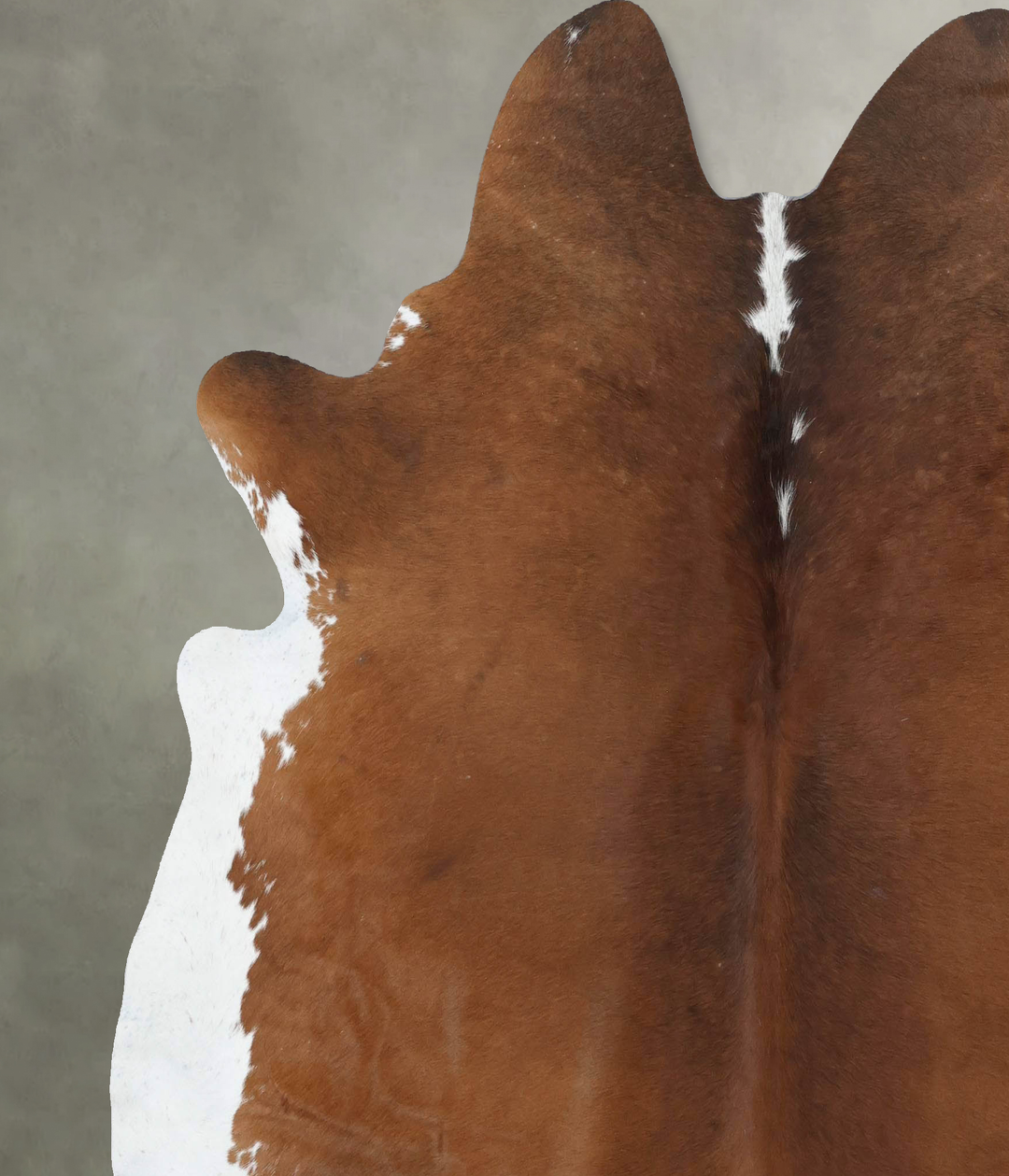 Brown and White Regular XX-Large Brazilian Cowhide Rug 7'5"H x 6'10"W 