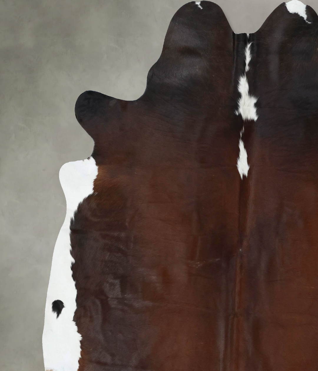 Chocolate and White XX-Large Brazilian Cowhide Rug 7'6"H x 7'0"W #B189