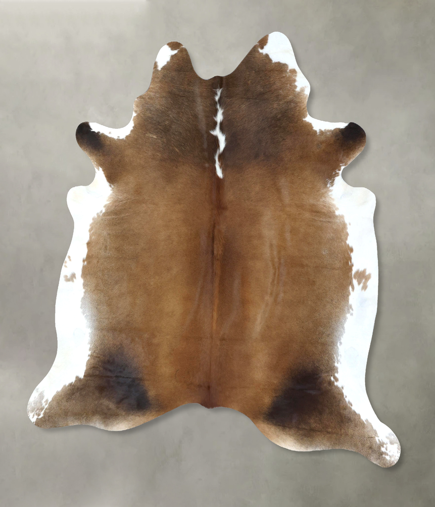 Warm Caramel XX-Large Brazilian Cowhide Rug 7'7"H x 6'10"W #B18936 by Hudson Hides