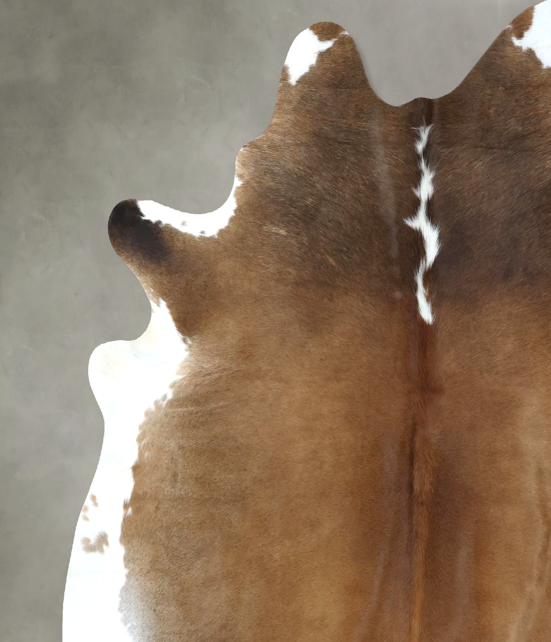 Warm Caramel XX-Large Brazilian Cowhide Rug 7'7"H x 6'10"W #B18936 by 