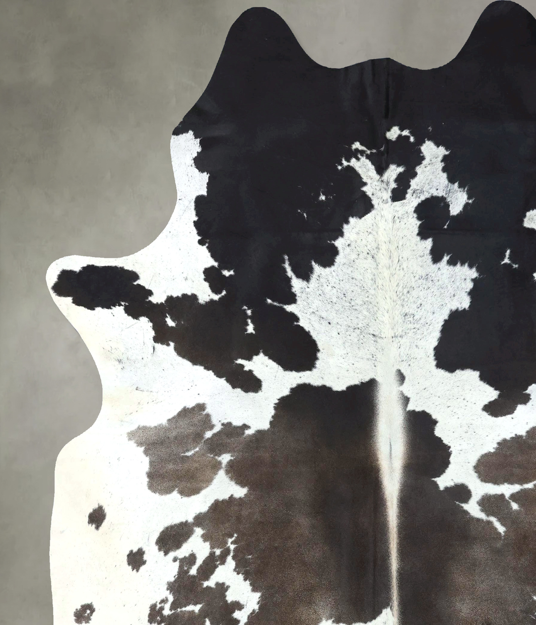 Chocolate and White XX-Large Brazilian Cowhide Rug 8'4"H x 7'0"W #B189