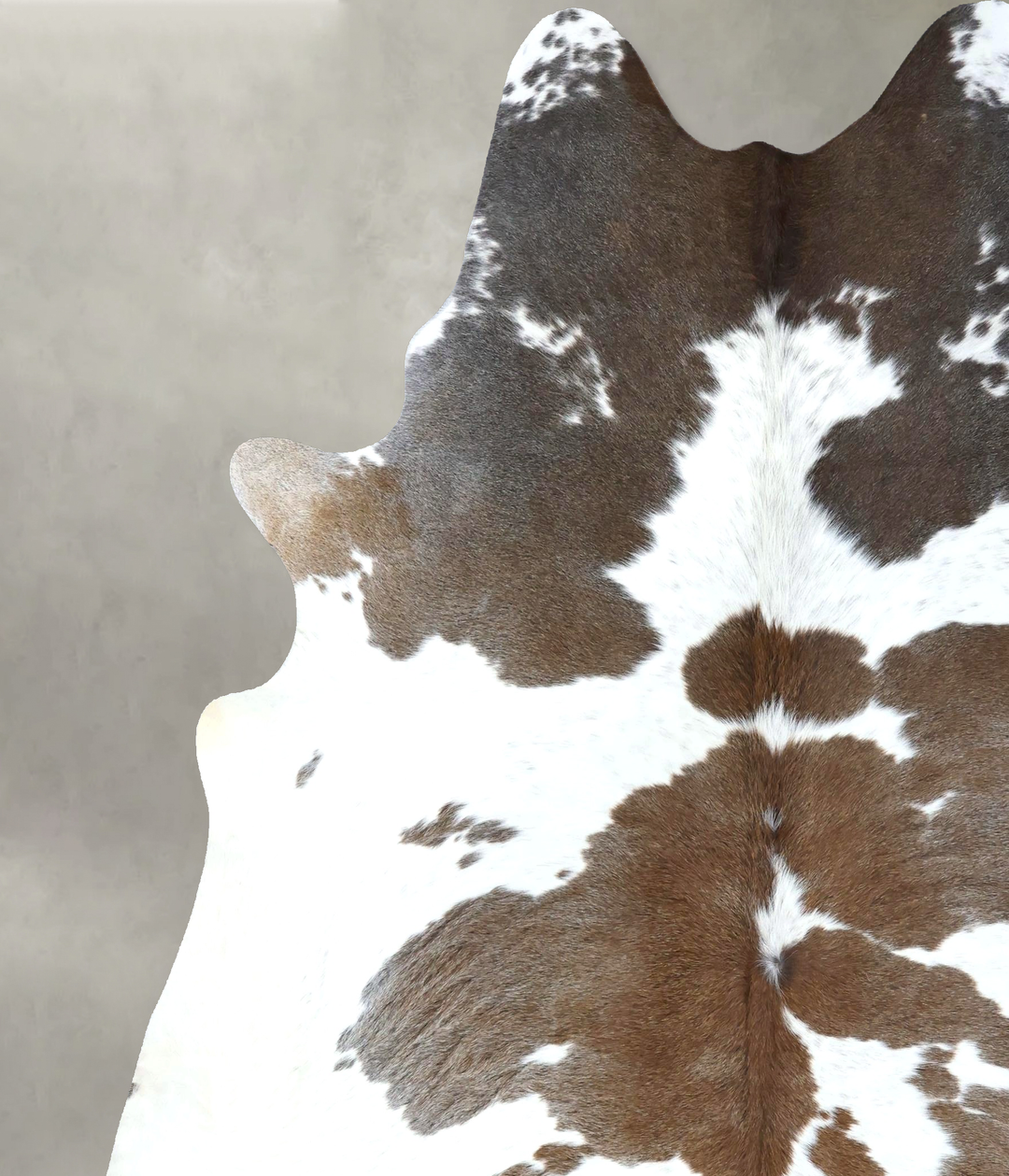 Chocolate and White XX-Large Brazilian Cowhide Rug 8'2"H x 7'0"W #B189