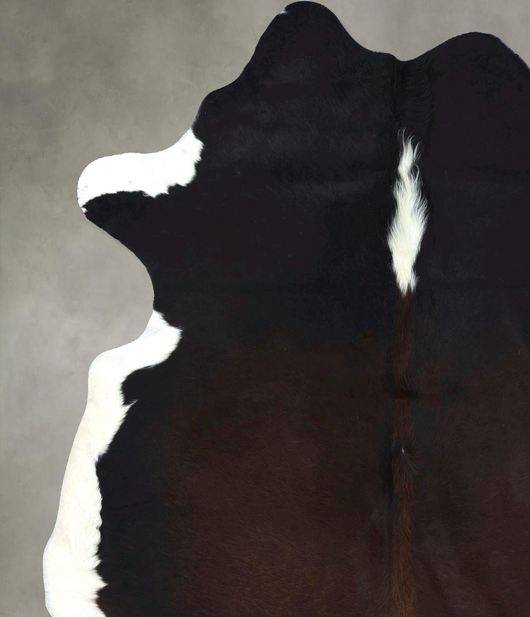 Chocolate and White XX-Large Brazilian Cowhide Rug 8'1"H x 6'10"W #B18