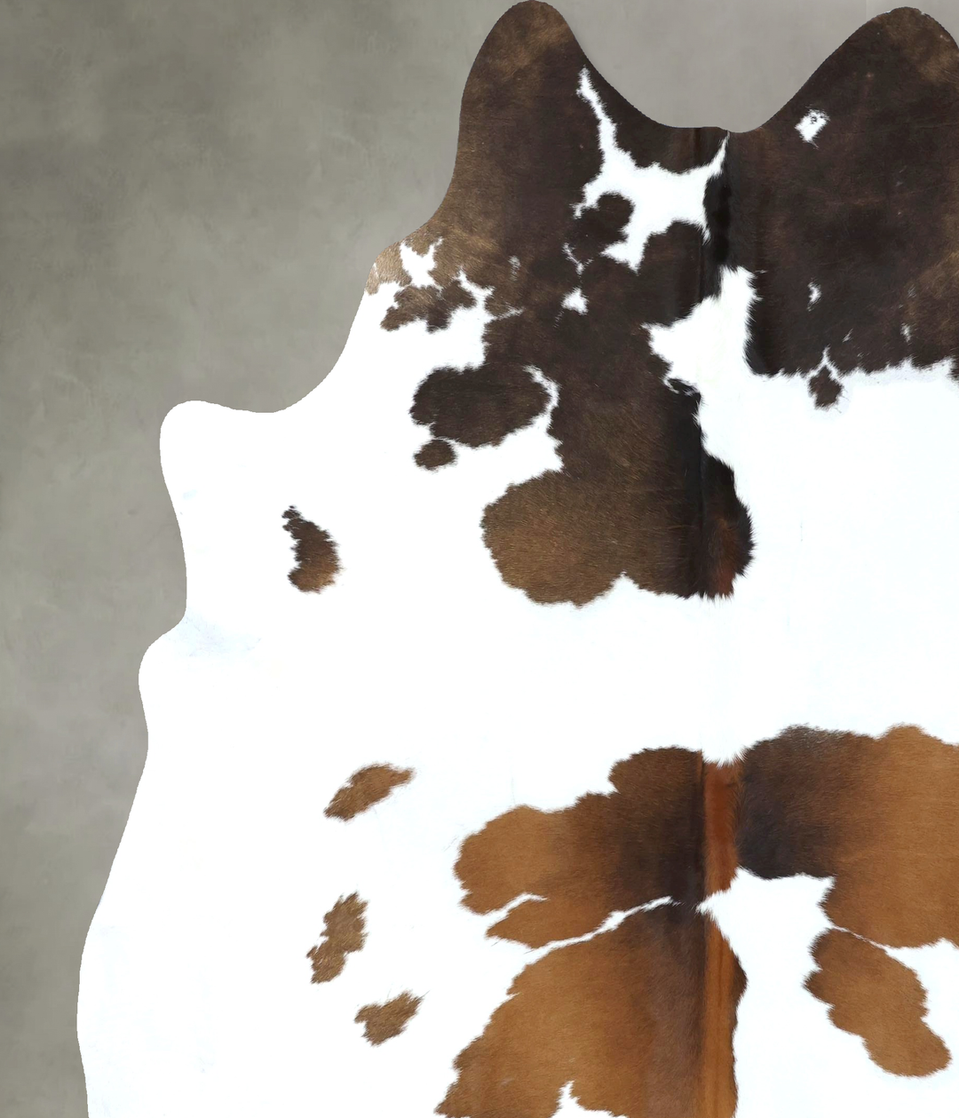 Chocolate and White XX-Large Brazilian Cowhide Rug 8'4"H x 7'2"W #B189