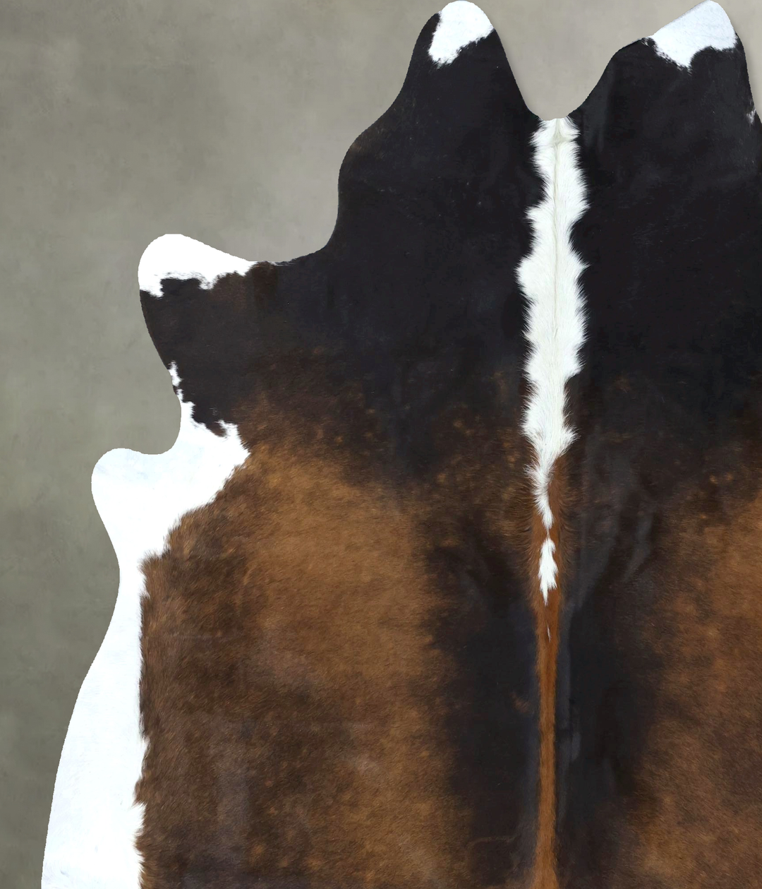 Chocolate and White XX-Large Brazilian Cowhide Rug 7'6"H x 6'9"W #B189