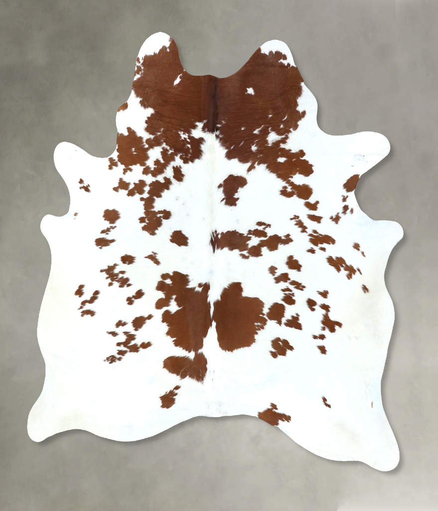 Brown and White Large Brazilian Cowhide Rug 6'10"H x 5'7"W #B18948 by Hudson Hides