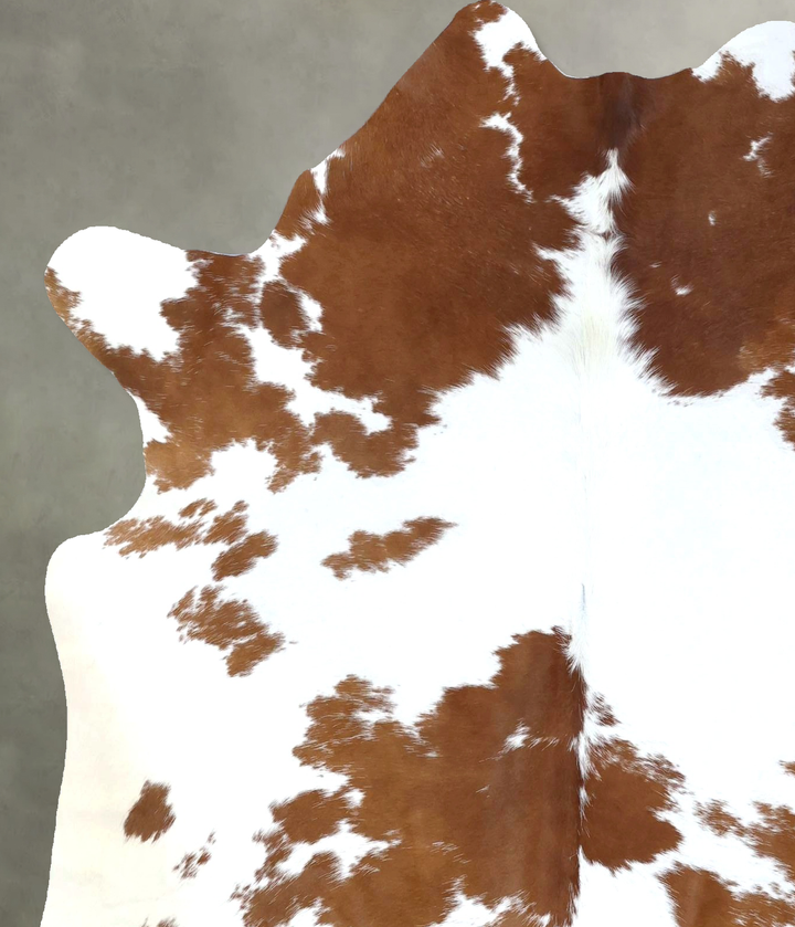 Brown and White Large Brazilian Cowhide Rug 6'3"H x 5'4"W #B18950 by Hudson Hides