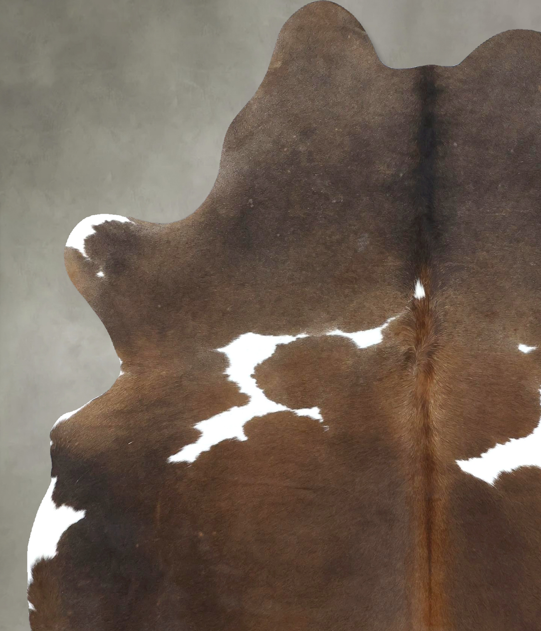 Chocolate and White X-Large Brazilian Cowhide Rug 7'2"H x 5'8"W #B1895