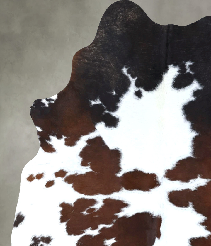 Chocolate and White Large Brazilian Cowhide Rug 6'11"H x 5'9"W #B18955 by Hudson Hides