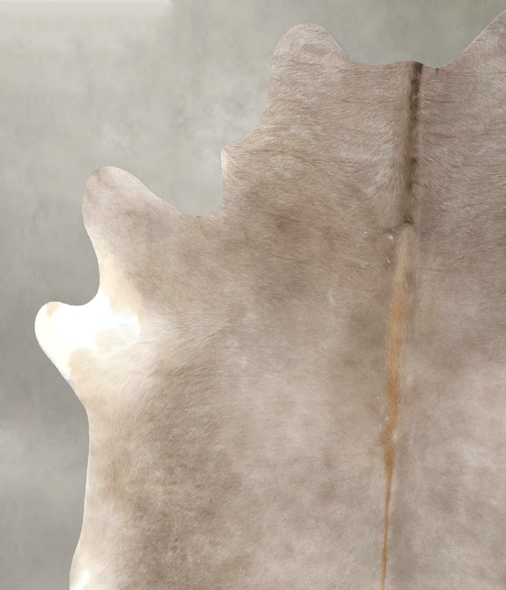 Taupe X-Large Brazilian Cowhide Rug 8'0"H x 6'2"W #B18961 by Hudson Hides
