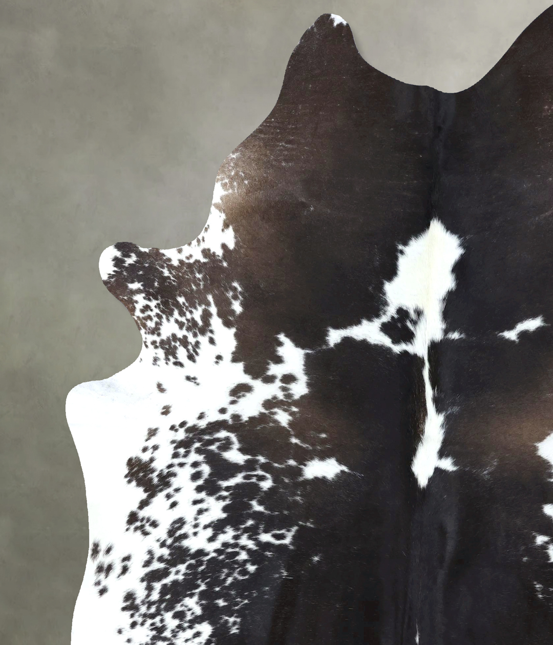 Chocolate and White XX-Large Brazilian Cowhide Rug 8'1"H x 6'7"W #B189