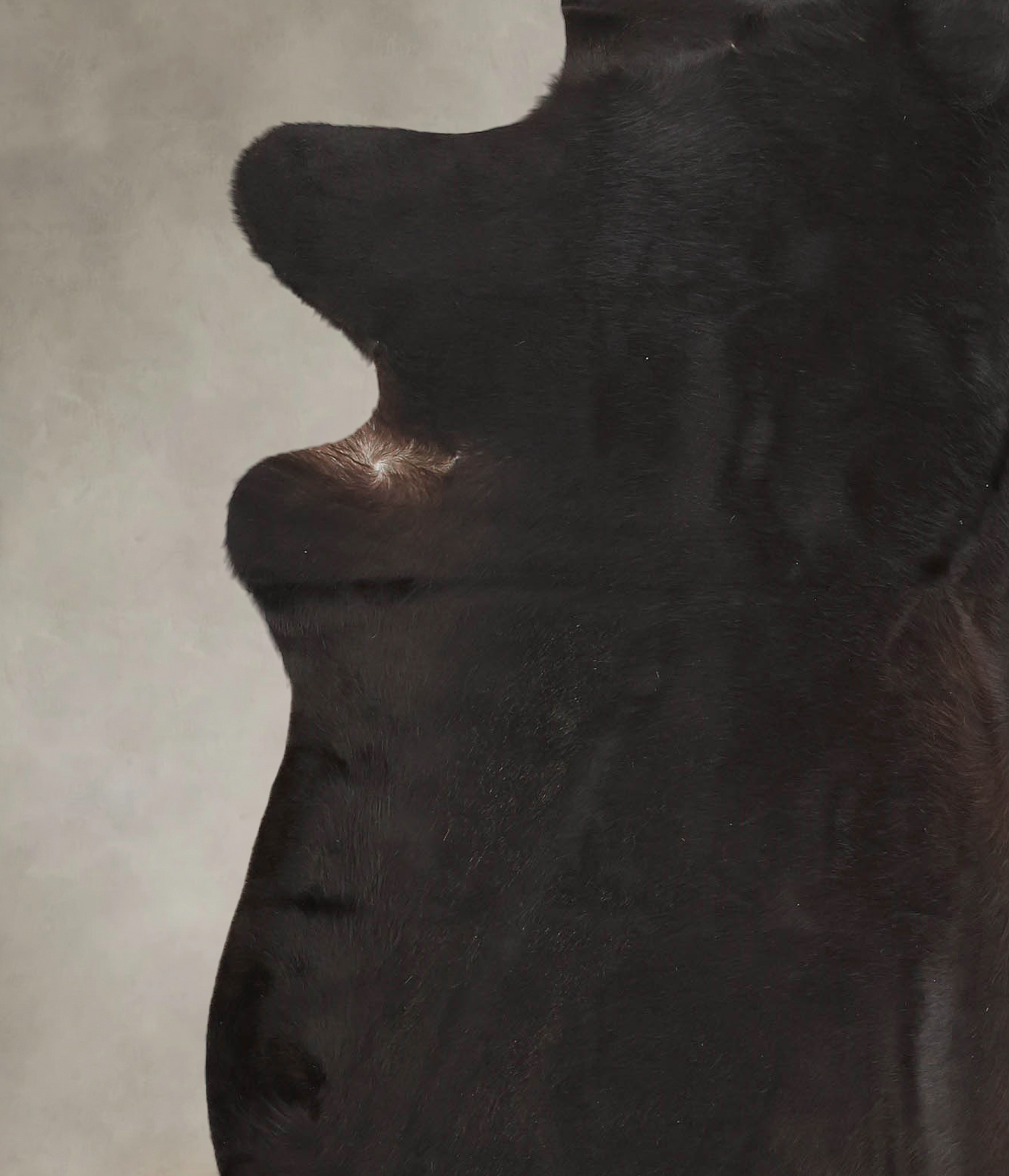 Solid Black Cowhide Rug #B1897
