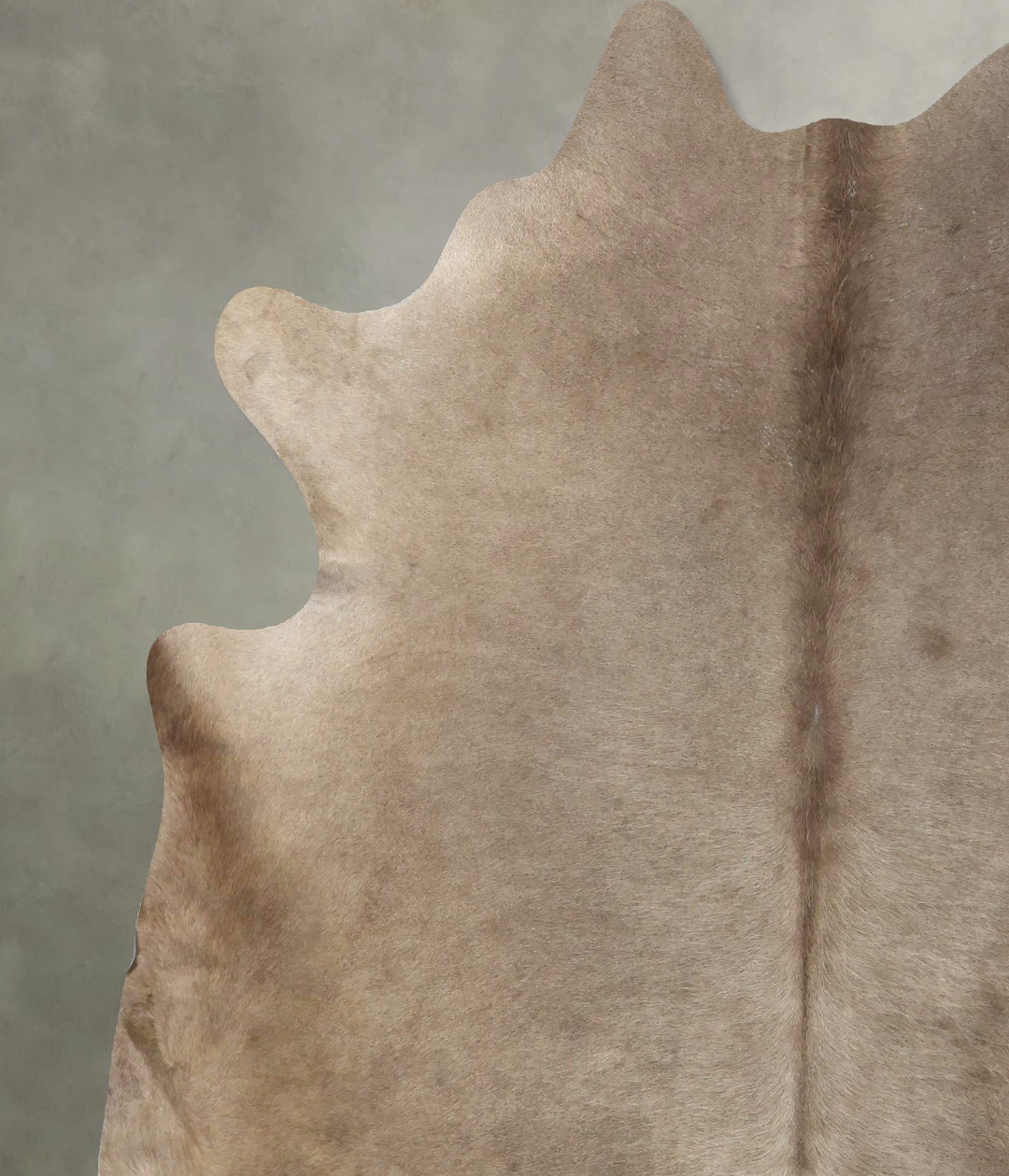Champagne XX-Large Brazilian Cowhide Rug 7'8"H x 6'10"W #B18971 by Hud