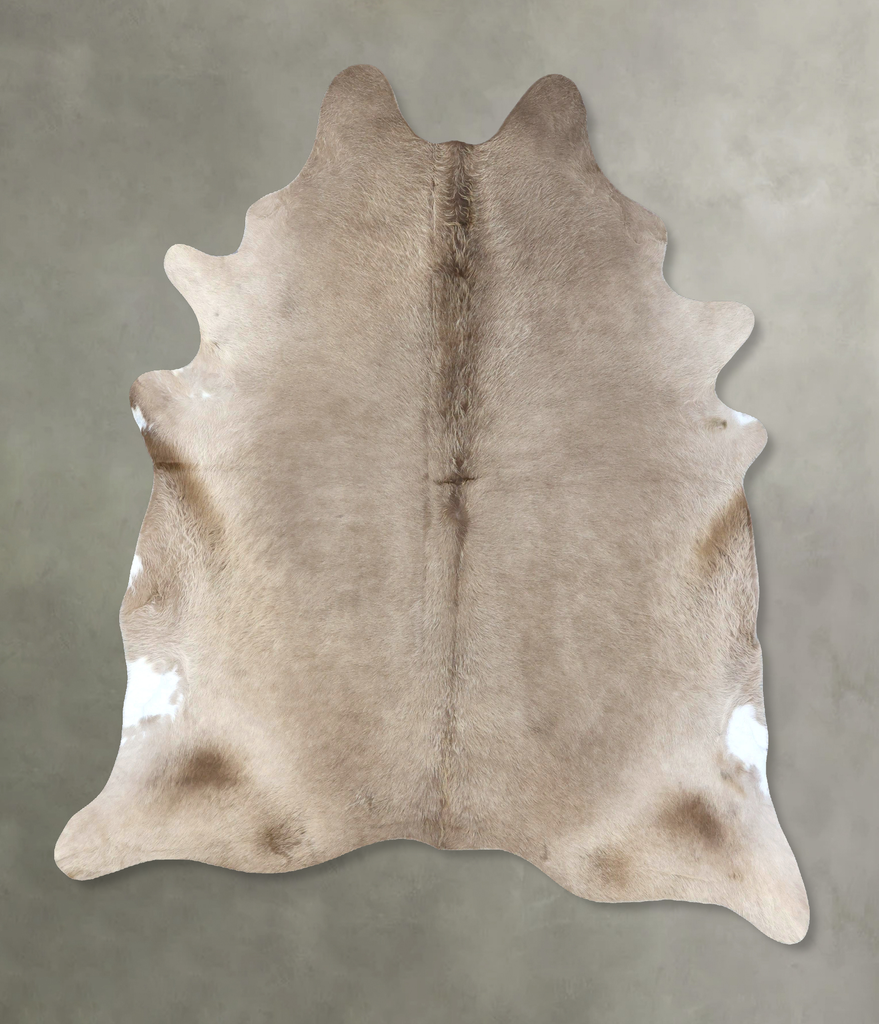Champagne XX-Large Brazilian Cowhide Rug 8'3"H x 6'11"W #B18972 by Hudson Hides
