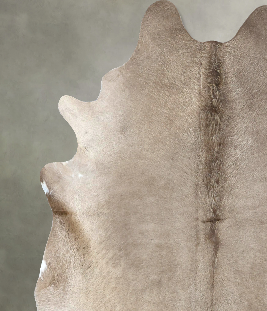 Champagne XX-Large Brazilian Cowhide Rug 8'3"H x 6'11"W #B18972 by Hud