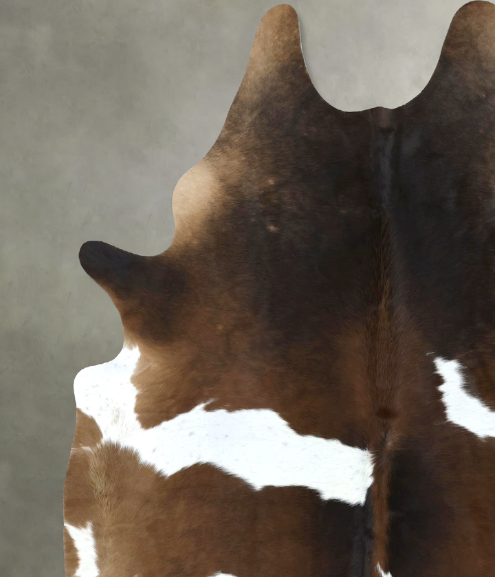 Chocolate and White XX-Large Brazilian Cowhide Rug 8'2"H x 6'3"W #B18978 by Hudson Hides