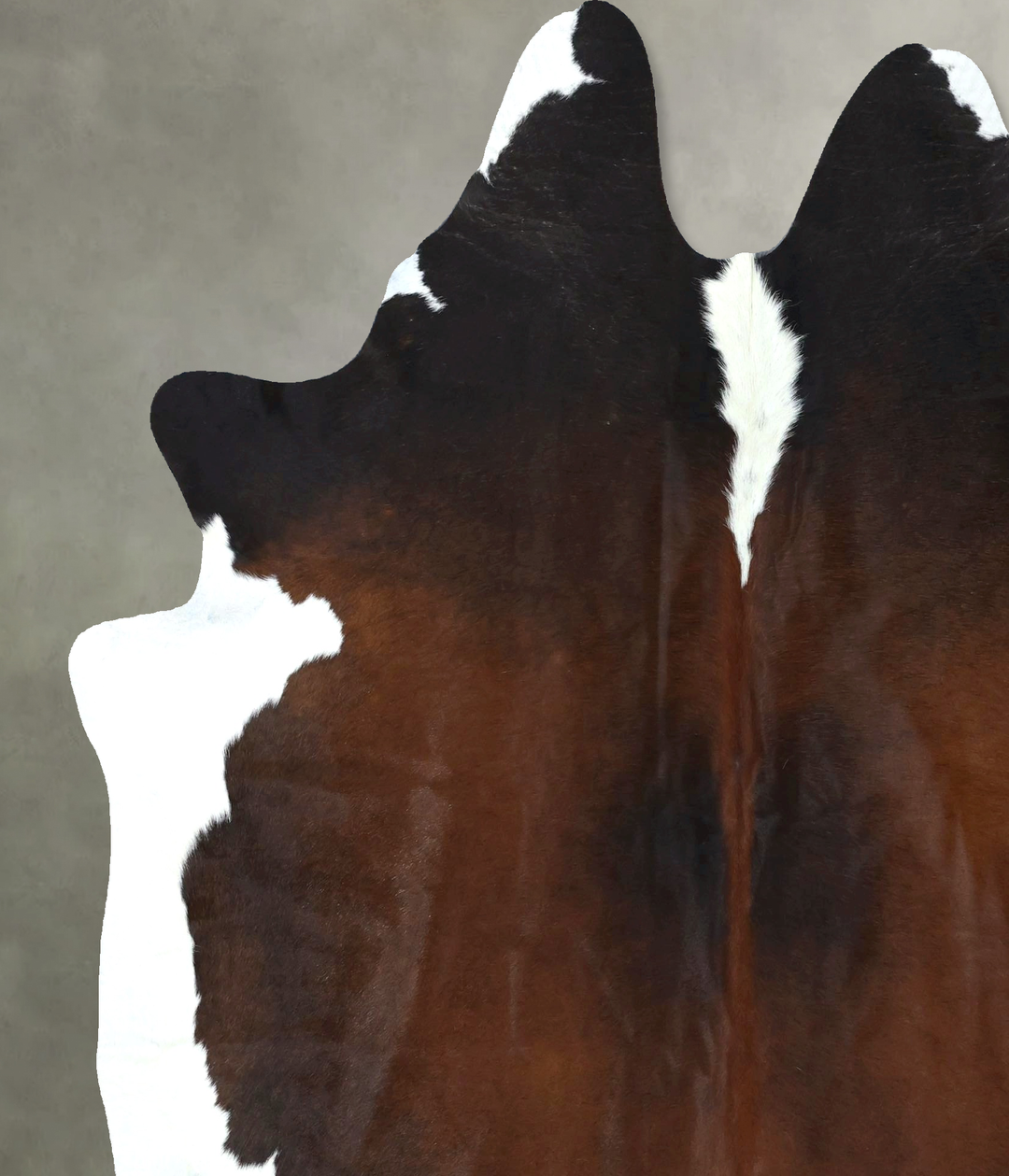 Chocolate and White XX-Large Brazilian Cowhide Rug 7'8"H x 6'6"W #B189