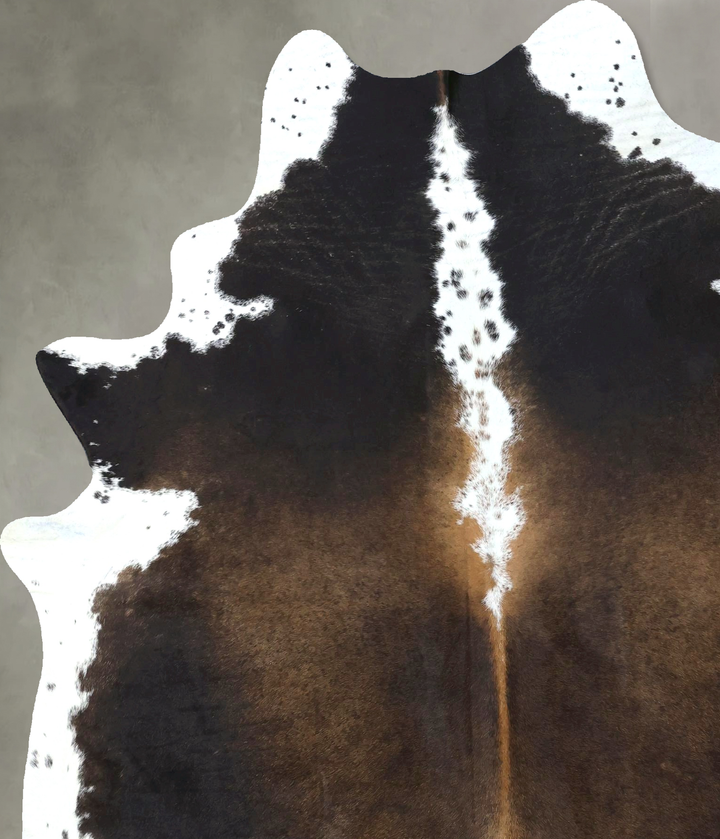 Chocolate and White X-Large Brazilian Cowhide Rug 7'10"H x 6'0"W #B18989 by Hudson Hides