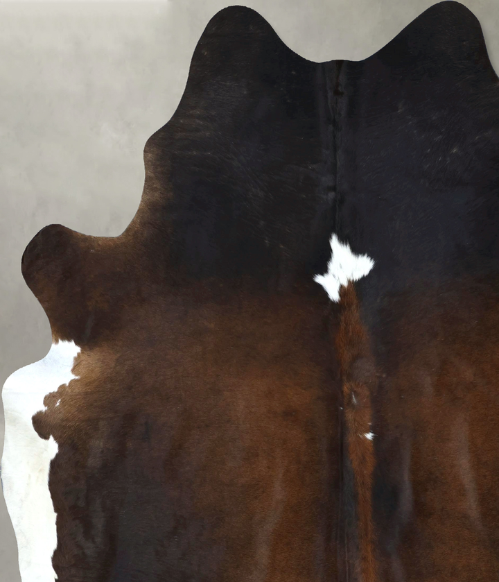 Chocolate and White XX-Large Brazilian Cowhide Rug 8'6"H x 7'5"W #B18993 by Hudson Hides