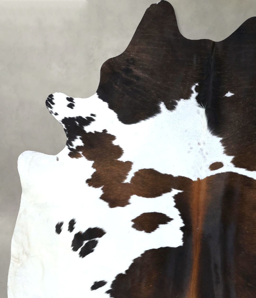 Chocolate and White XX-Large Brazilian Cowhide Rug 8'10"H x 7'1"W #B18