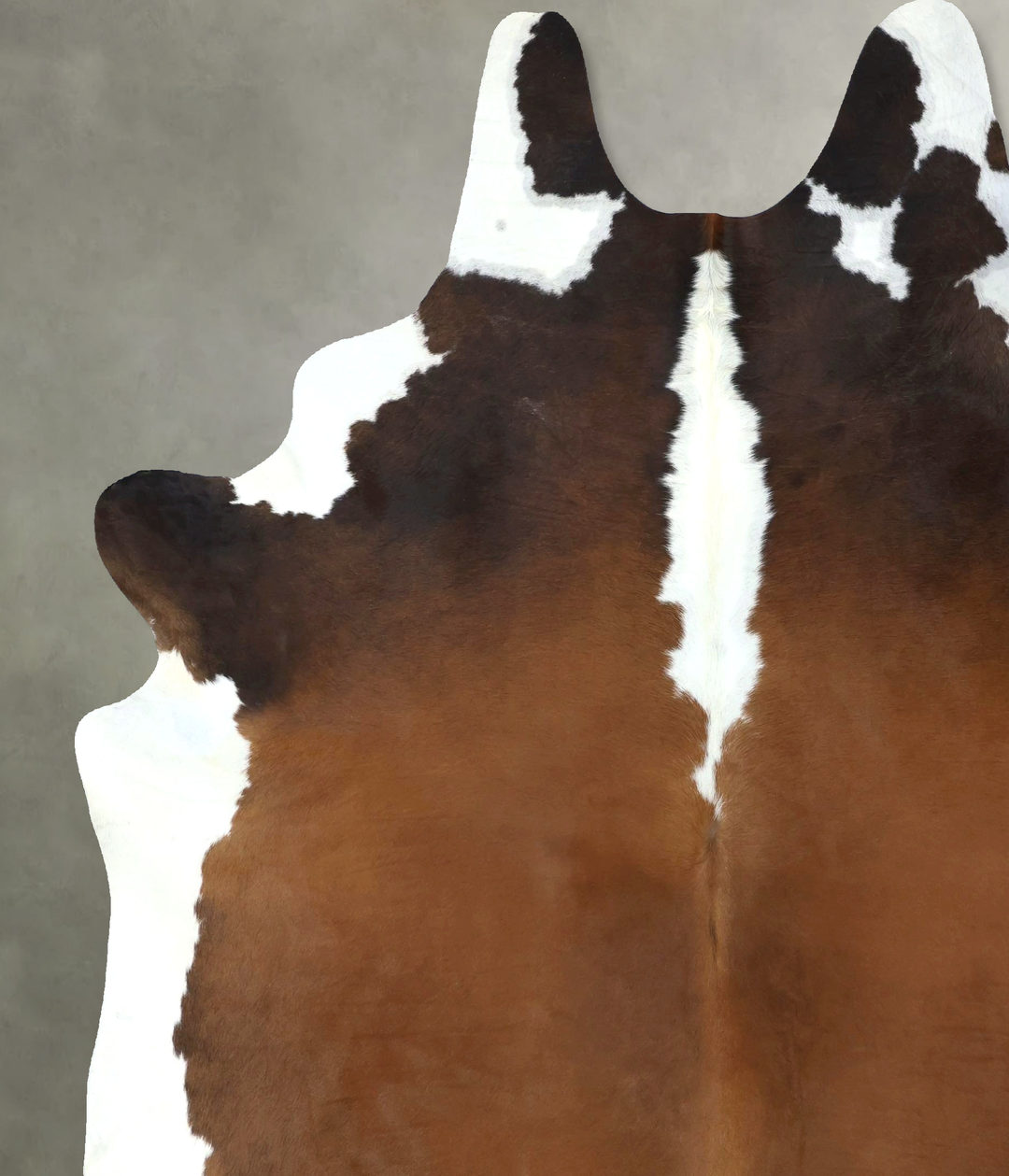 Chocolate and White XX-Large Brazilian Cowhide Rug 8'8"H x 7'3"W #B189