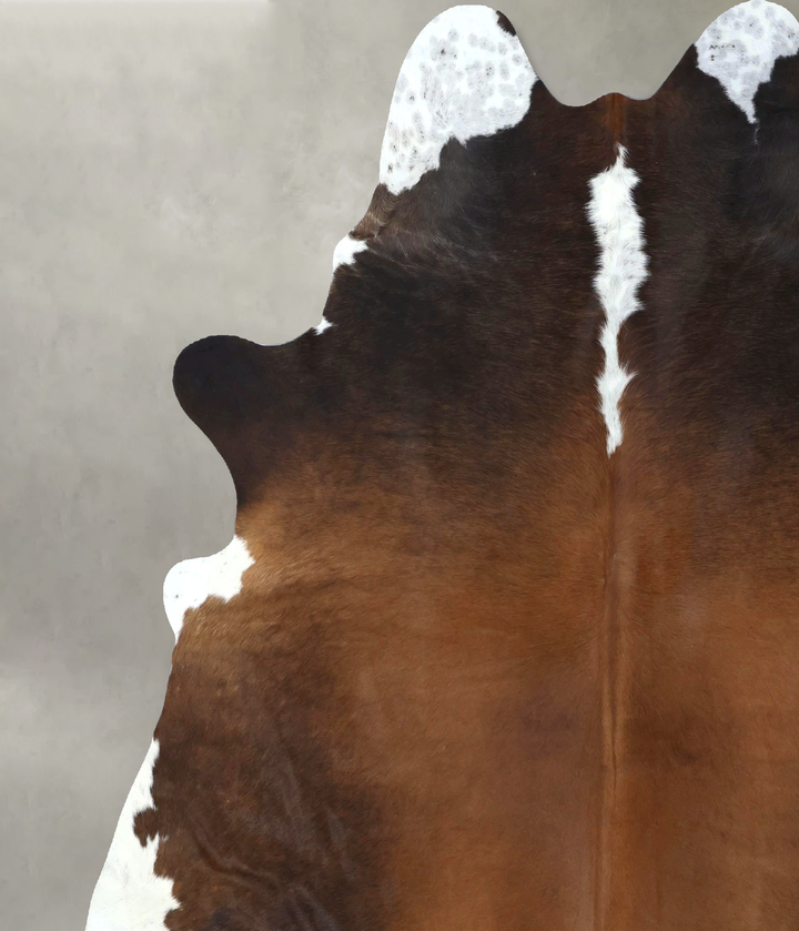 Chocolate and White XX-Large Brazilian Cowhide Rug 7'11"H x 7'0"W #B18998 by Hudson Hides