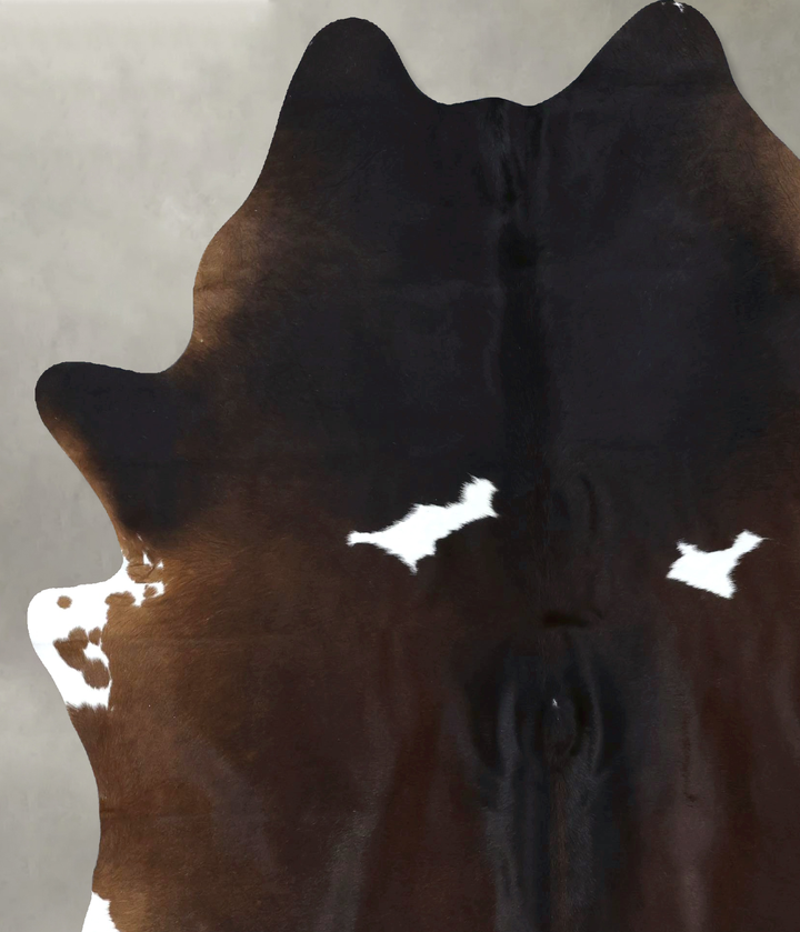 Chocolate and White XX-Large Brazilian Cowhide Rug 7'9"H x 6'5"W #B19001 by Hudson Hides