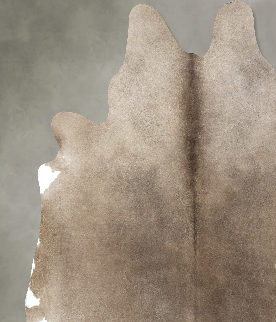 Taupe XX-Large Brazilian Cowhide Rug 7'9"H x 7'6"W #B19002 by Hudson H