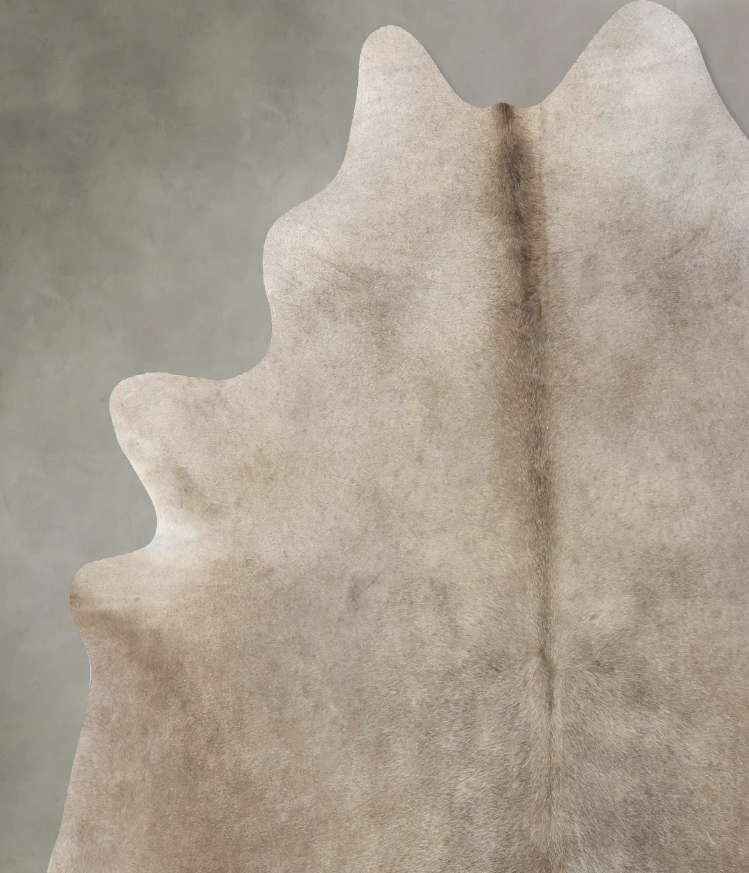 Champagne XX-Large Brazilian Cowhide Rug 8'0"H x 7'2"W #B19003 by Huds
