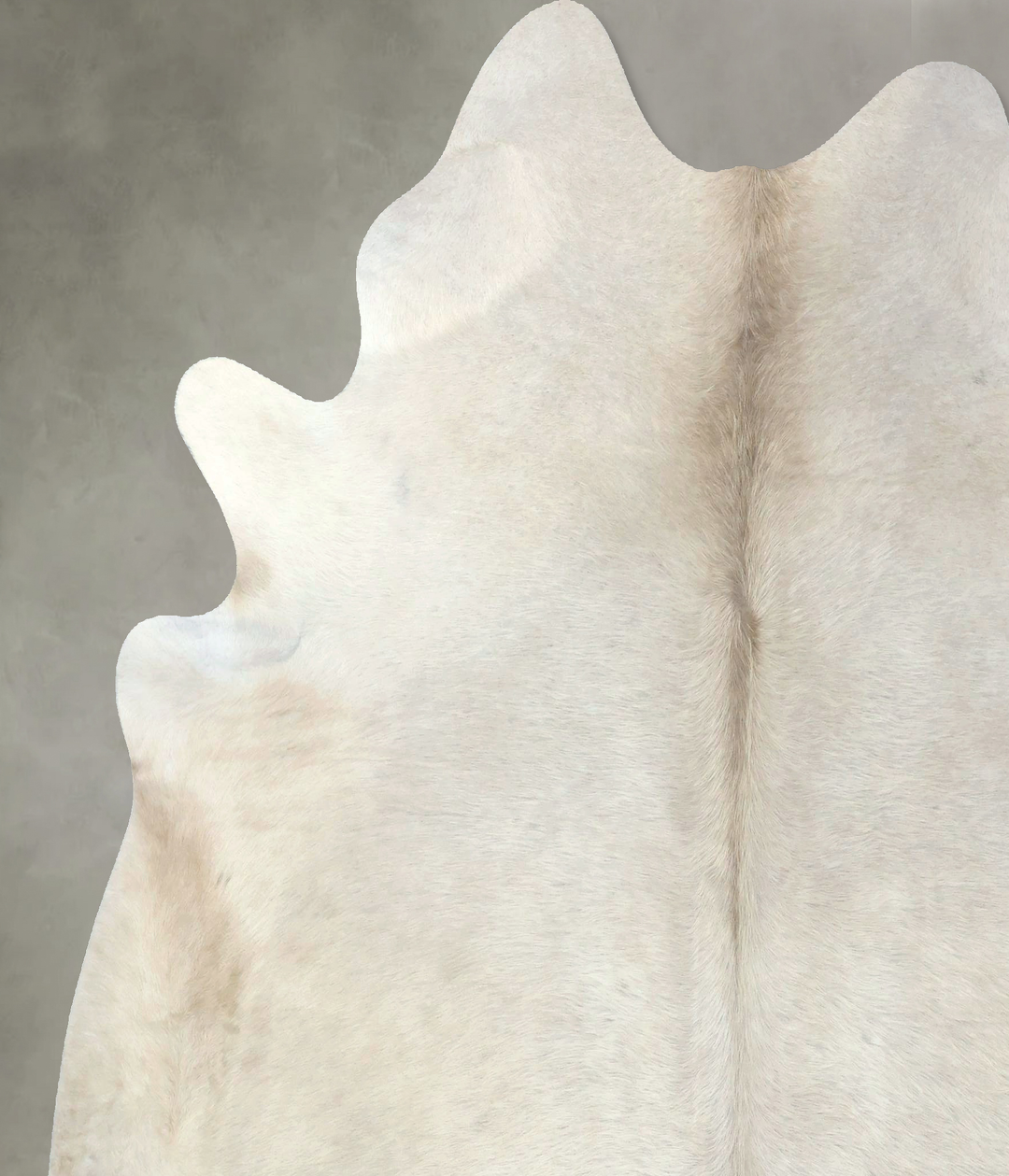 Champagne XX-Large Brazilian Cowhide Rug 7'7"H x 6'11"W #B19004 by Hud