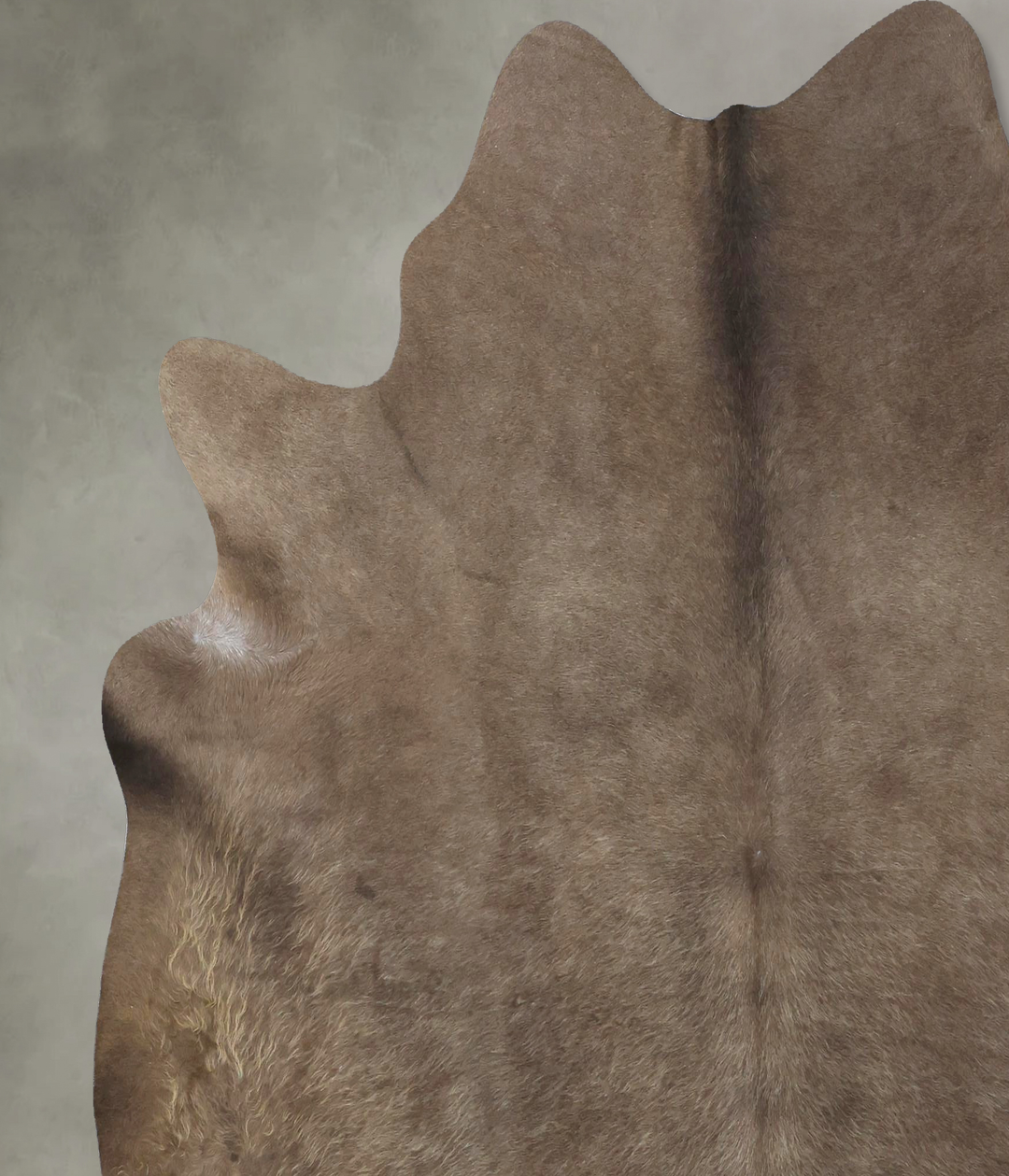 Taupe X-Large Brazilian Cowhide Rug 6'10"H x 6'9"W #B19006 by Hudson H