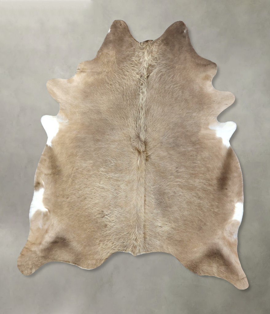 Champagne XX-Large Brazilian Cowhide Rug 8'5"H x 6'7"W #B19016 by Hudson Hides