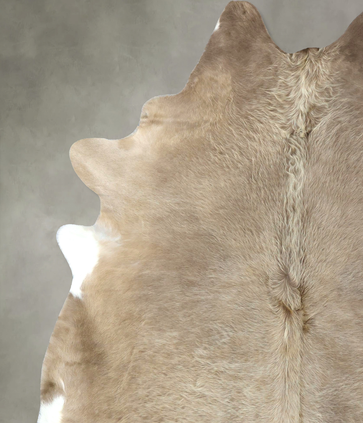 Champagne XX-Large Brazilian Cowhide Rug 8'5"H x 6'7"W #B19016 by Hudson Hides