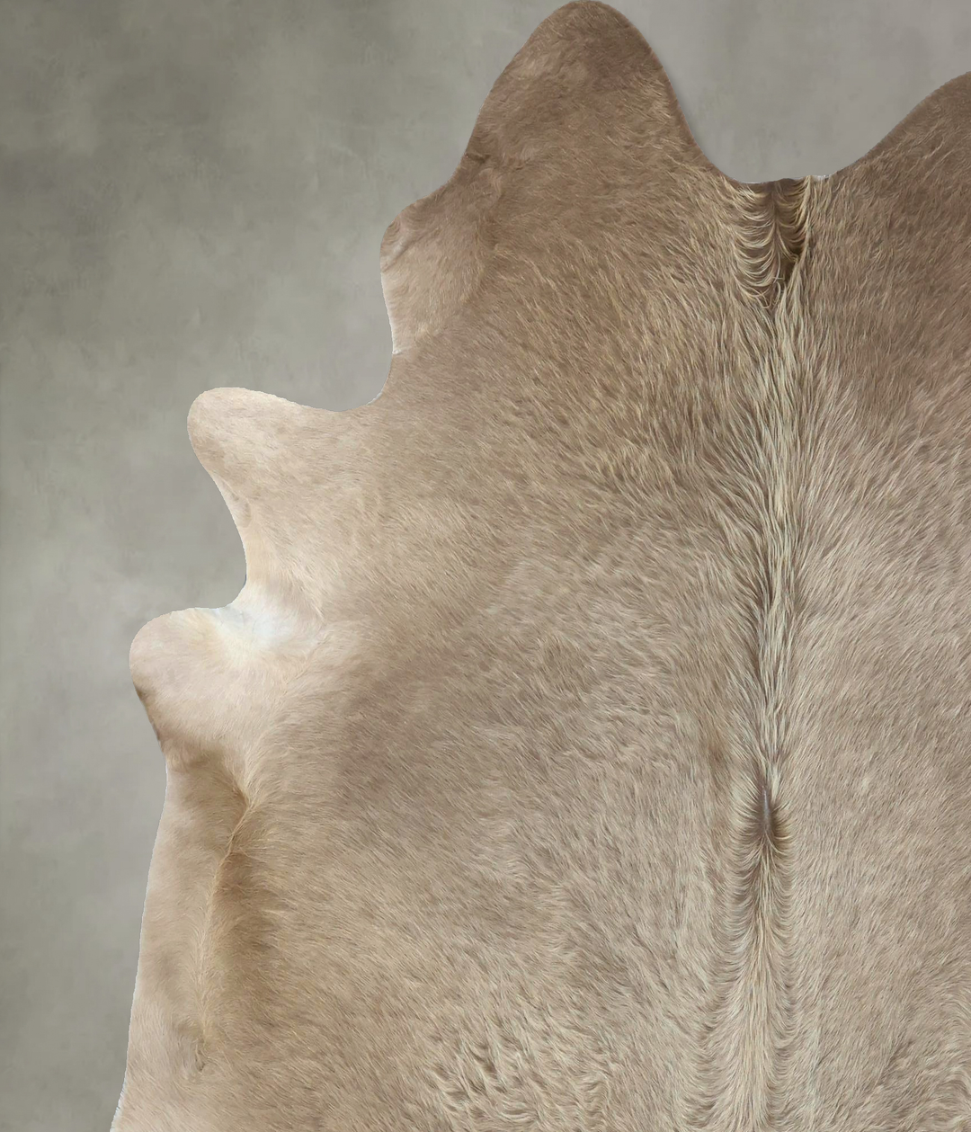 Champagne X-Large Brazilian Cowhide Rug 7'5"H x 6'8"W #B19017 by Hudso