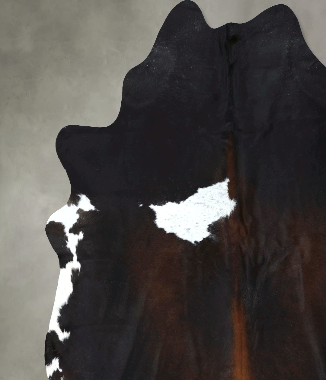 Chocolate and White XX-Large Brazilian Cowhide Rug 8'5"H x 7'4"W #B190