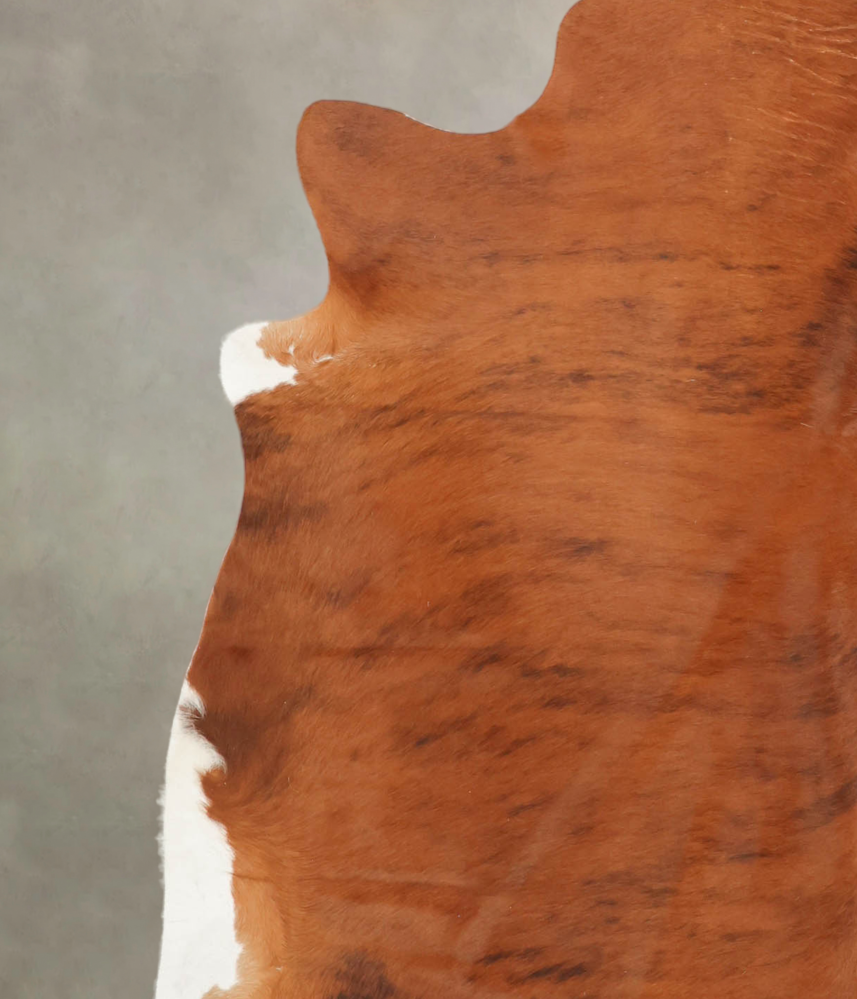Medium Brindle Cowhide Rug #B1902