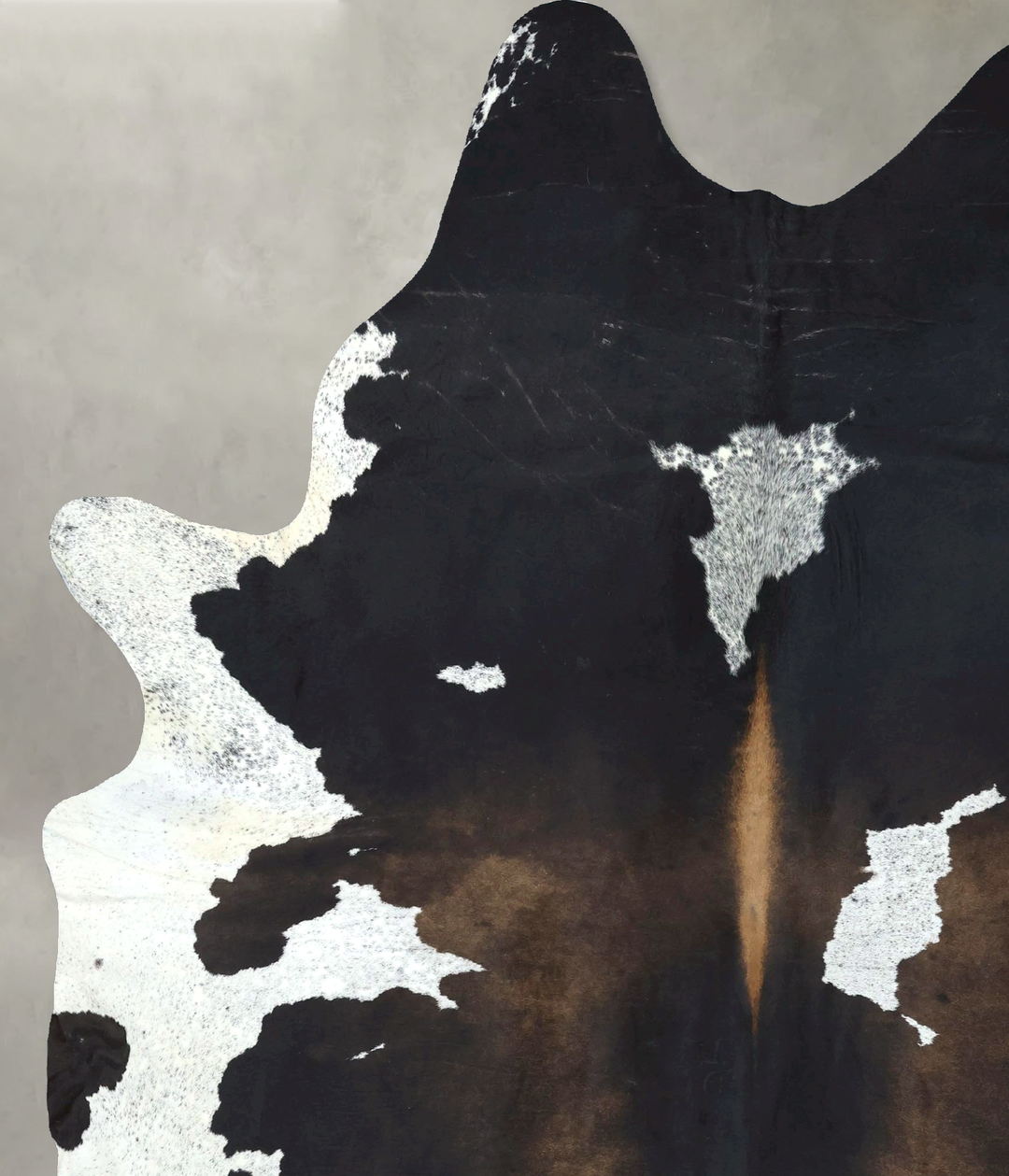 Chocolate and White XX-Large Brazilian Cowhide Rug 8'7"H x 6'8"W #B190