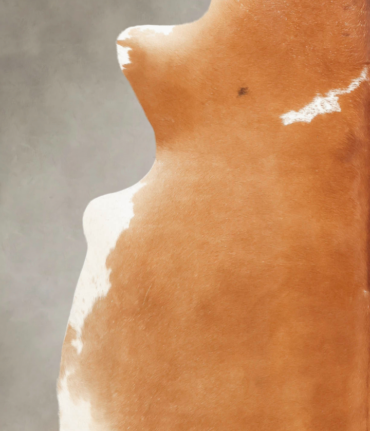 Brown and White Regular X-Large Brazilian Cowhide Rug 6'8"H x 6'4"W #B1903 by Hudson Hides