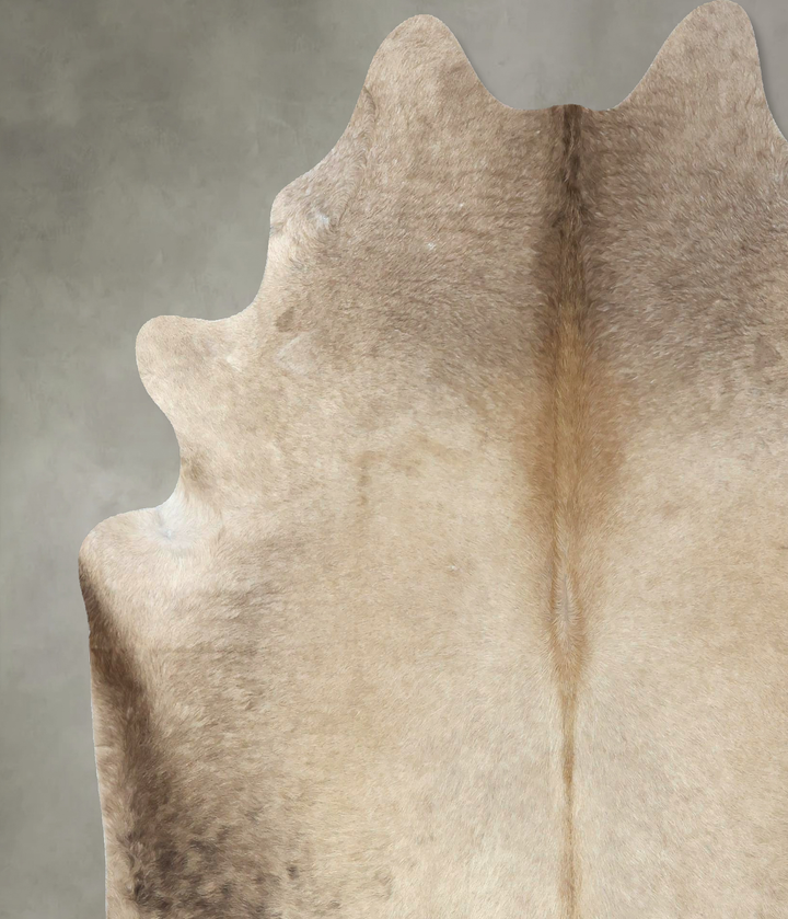 Champagne X-Large Brazilian Cowhide Rug 7'4"H x 6'5"W #B19032 by Hudson Hides