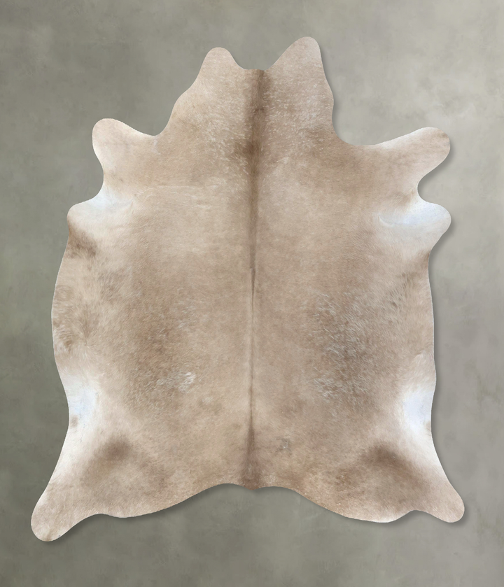 Champagne X-Large Brazilian Cowhide Rug 6'9"H x 6'4"W #B19039 by Hudson Hides