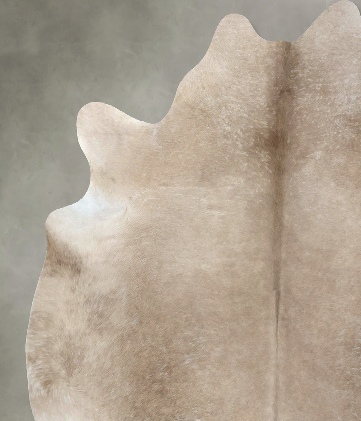 Champagne X-Large Brazilian Cowhide Rug 6'9"H x 6'4"W #B19039 by Hudson Hides