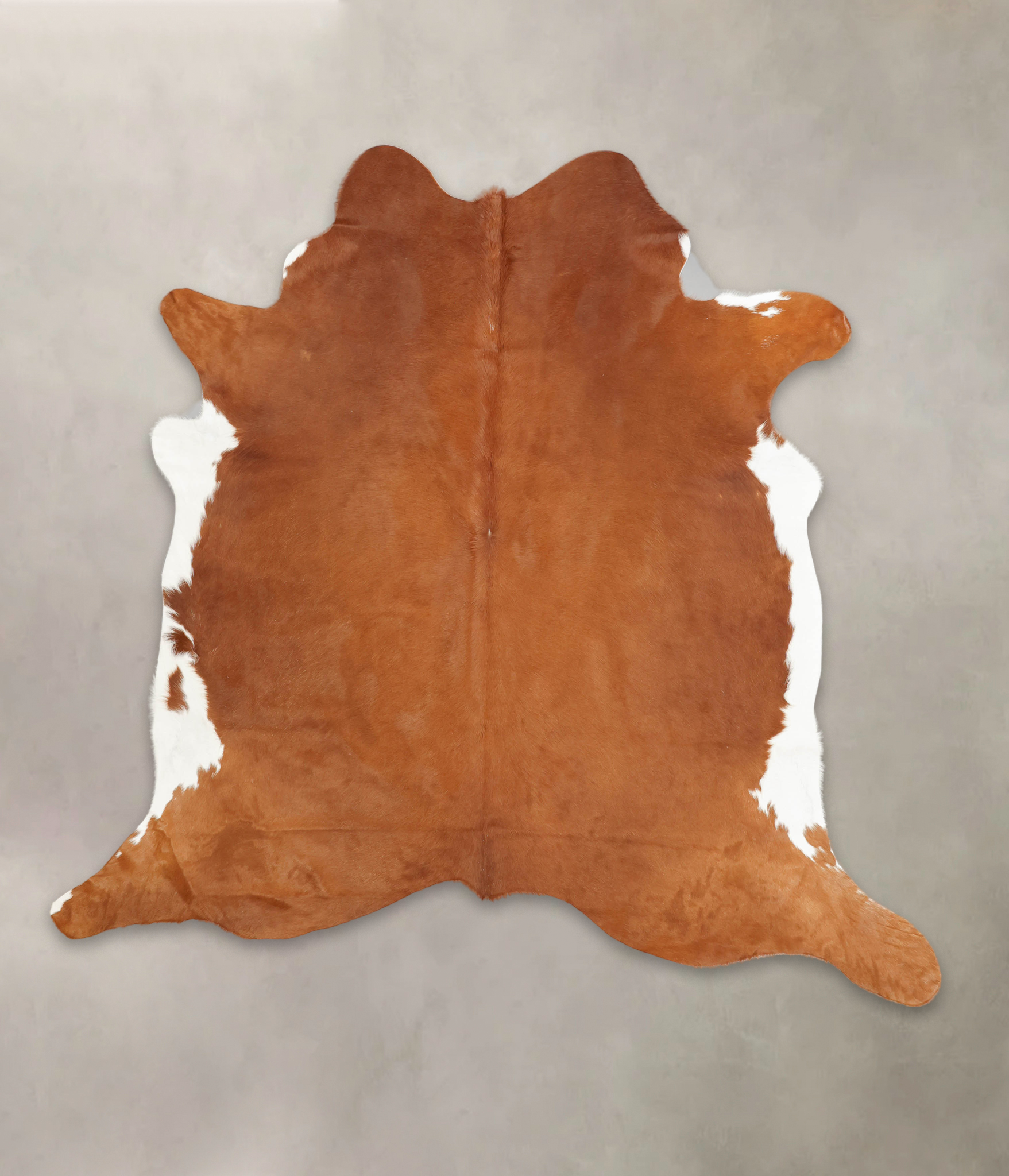 Brown and White Regular Cowhide Rug #B1904