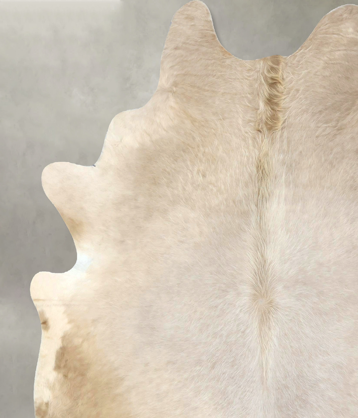 Champagne X-Large Brazilian Cowhide Rug 7'5"H x 6'6"W #B19042 by Hudson Hides