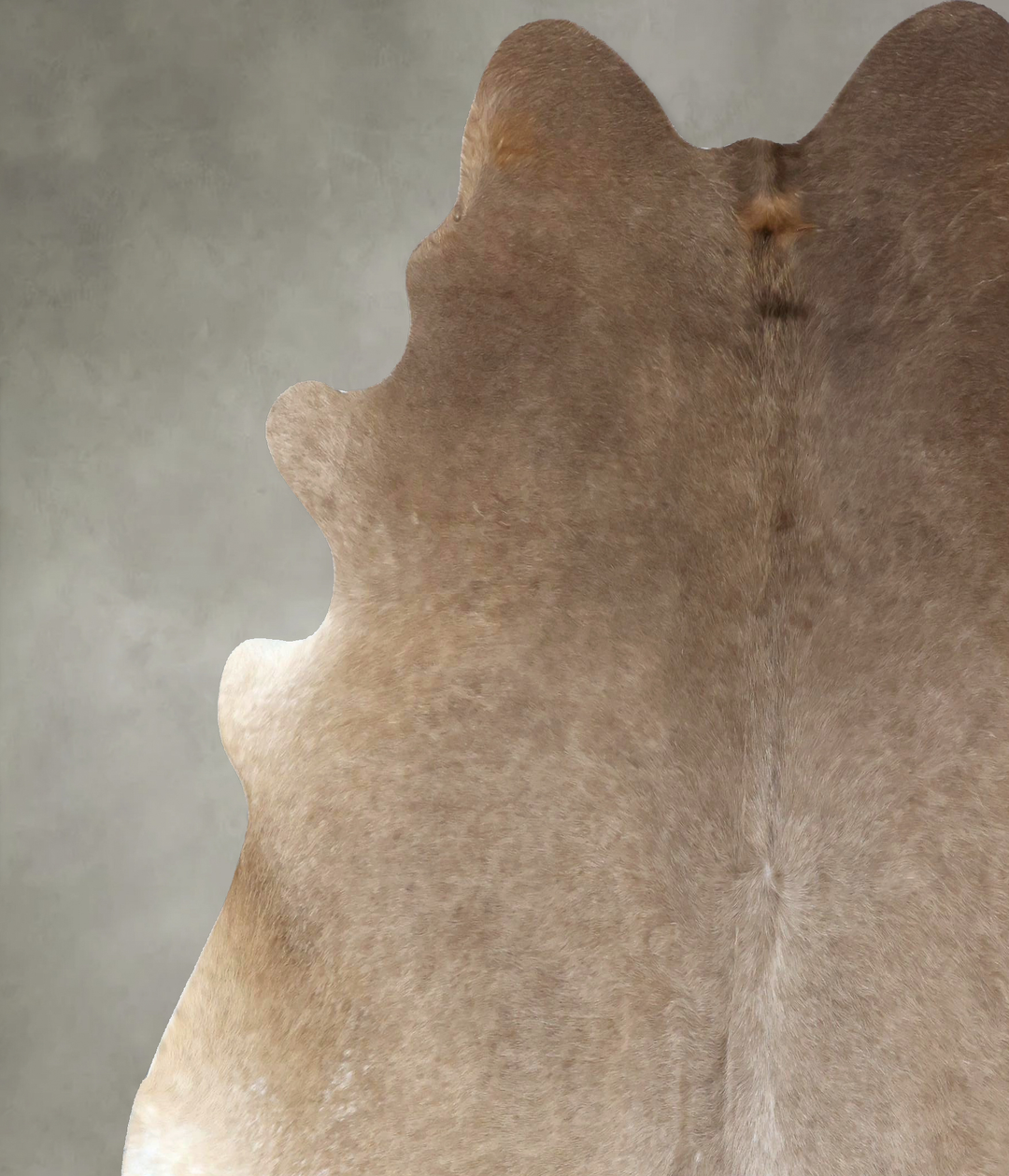 Champagne XX-Large Brazilian Cowhide Rug 7'5"H x 7'2"W #B19043 by Huds