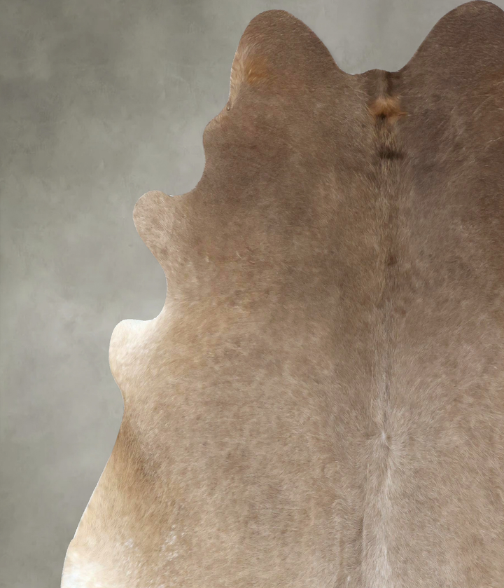 Champagne XX-Large Brazilian Cowhide Rug 7'5"H x 7'2"W #B19043 by Hudson Hides